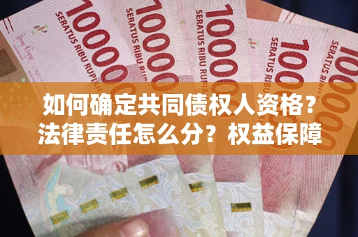 北京如何确定共同债权人资格？法律责任怎么分？权益保障技巧揭秘！