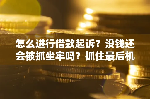 北京怎么进行借款起诉？没钱还会被抓坐牢吗？抓住最后机会！