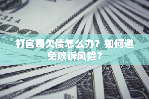 北京打官司欠债怎么办？如何避免败诉风险？